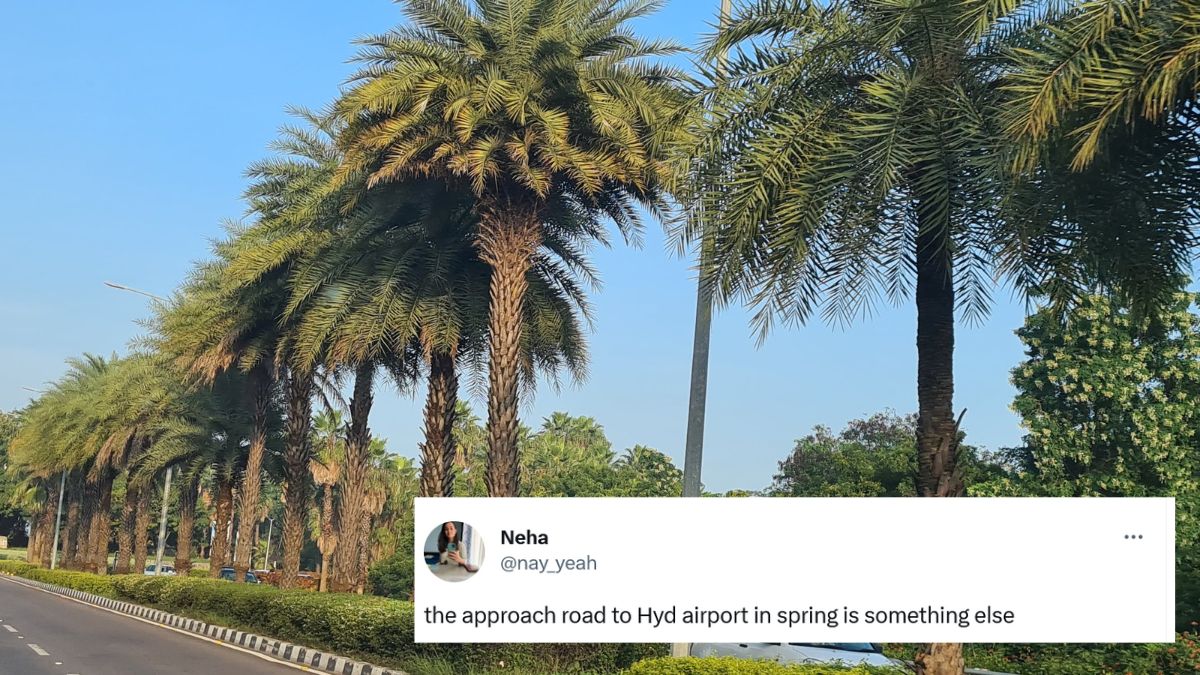 Twitter User Shares A Beautiful Spring Time Video Of Hyderabad Airport Road & It’s Dreamy