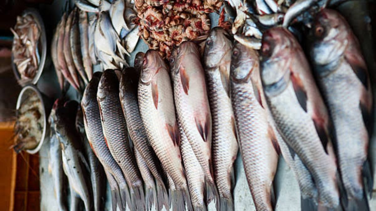 Avoid Eating Fish Imported From Outside Assam Says Study. Here’s Why!