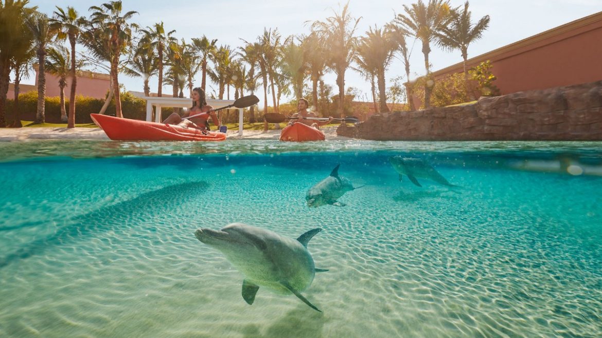 Go Paddleboarding And Kayaking With Dolphins At Aquaventure For An