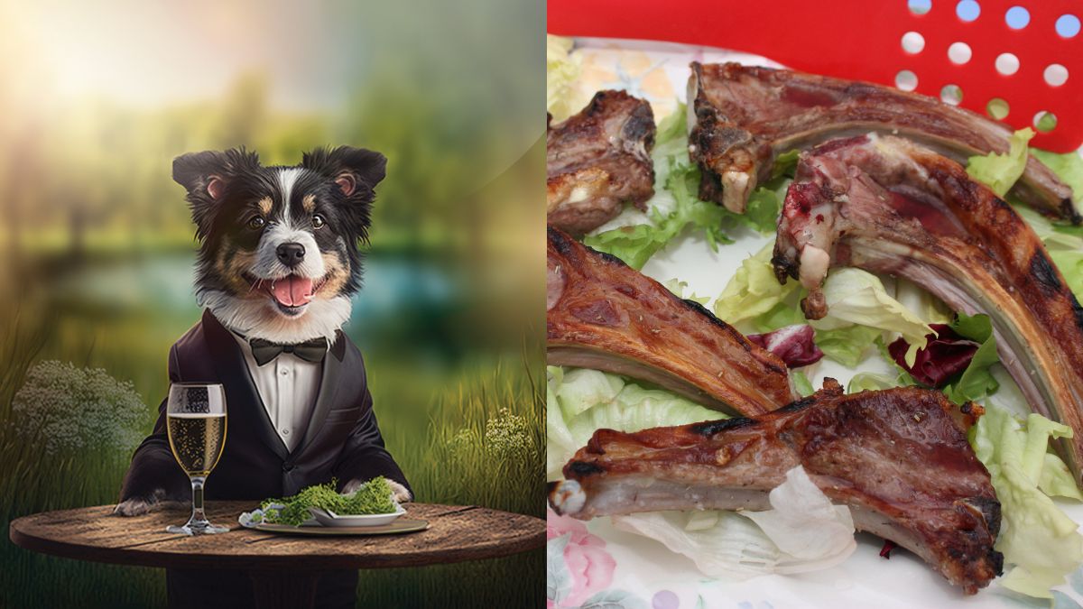There’s A 1st-Ever Fine Dine Canine Dinner For Dogs & Hoomans Happening In Mumbai. Bone Appétit!
