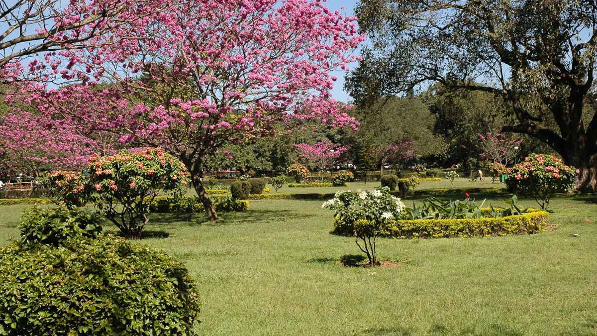 New Rules At Bangalore’s Cubbon Park; Bans Food, PDA, Games & Photography