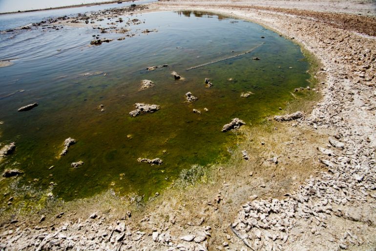 contaminated lakes goa