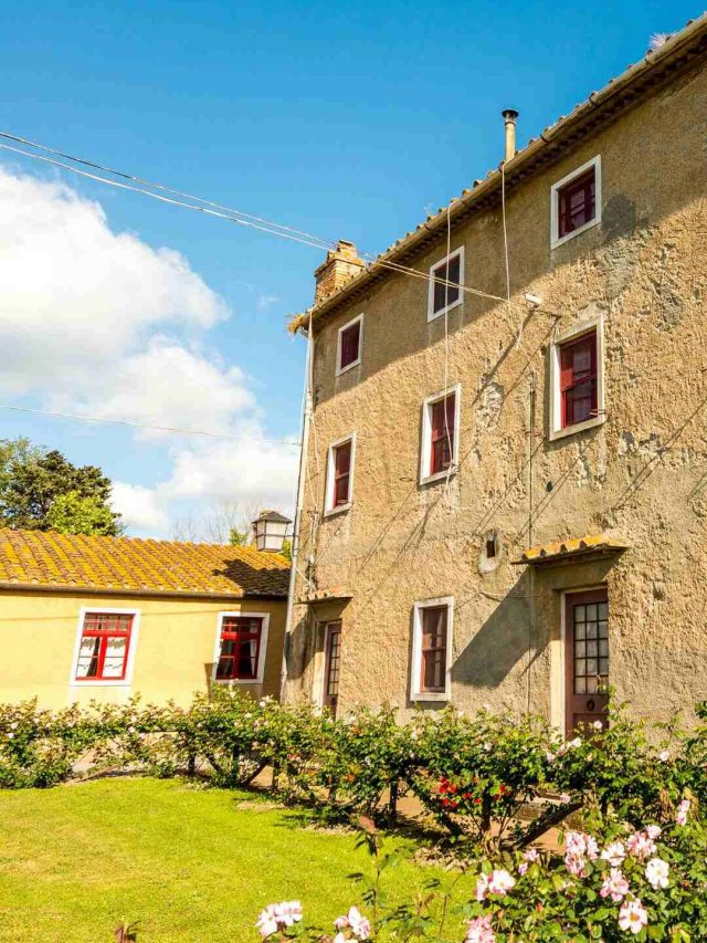 Bolgheri (1)