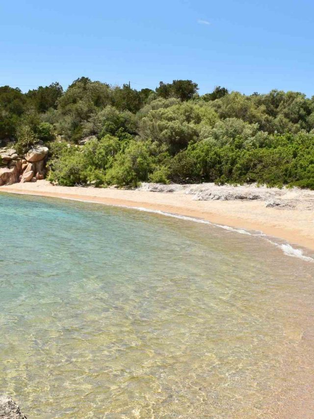 Corsica (4) (1)