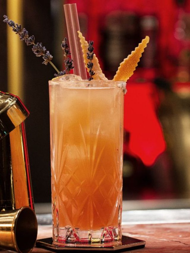 8 Best Gins In India Under ₹1500