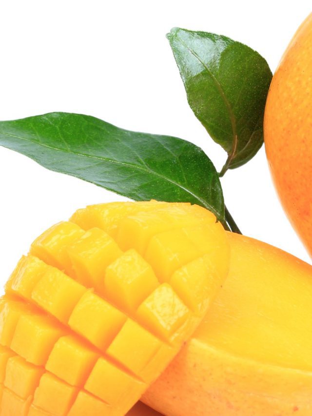 Here's How You Can Keep Mangoes Fresh And Last Longer