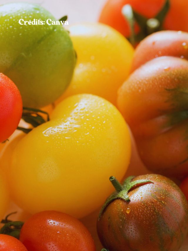 9 Types of Tomatoes And What Makes Them Different