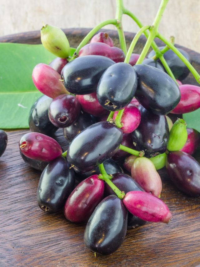 9 Reasons To Eat More Kala Jamun (Java Plums) This Summer