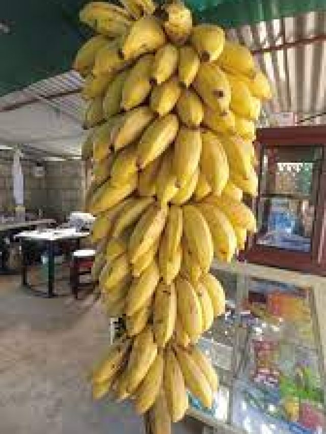 9-quick-banana-recipes-you-must-try
