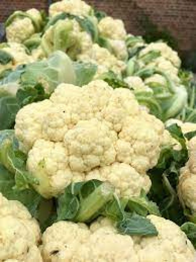 Home Hacks How To Keep Cauliflower Fresh For Long