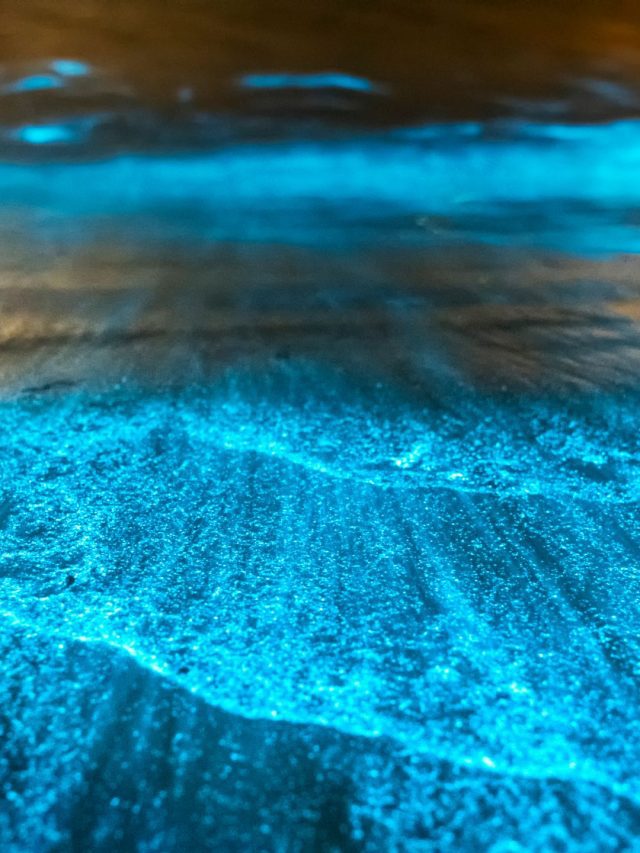 glowing beach 1