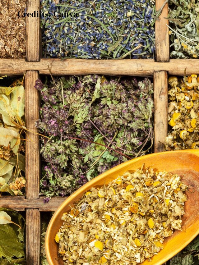 9 Best Herbs And Spices That Are Great For Your Health!