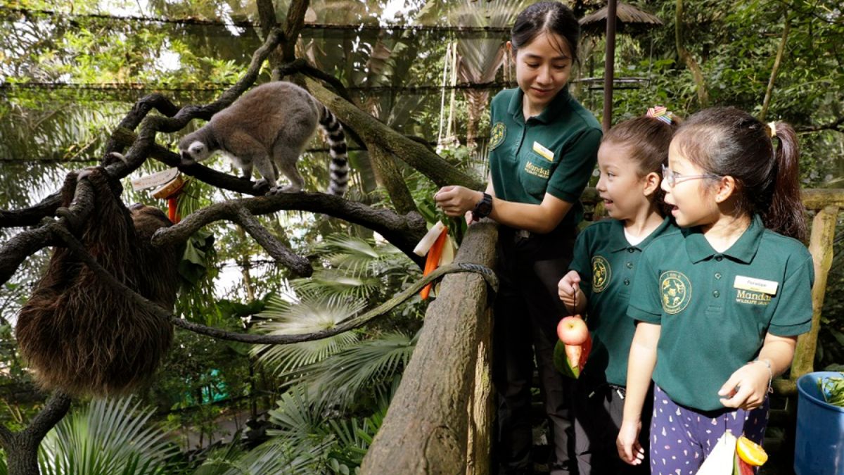 Indians Can Now Seamlessly Visit World’s 1st Nocturnal Wildlife Park, Mandai Wildlife Reserve!