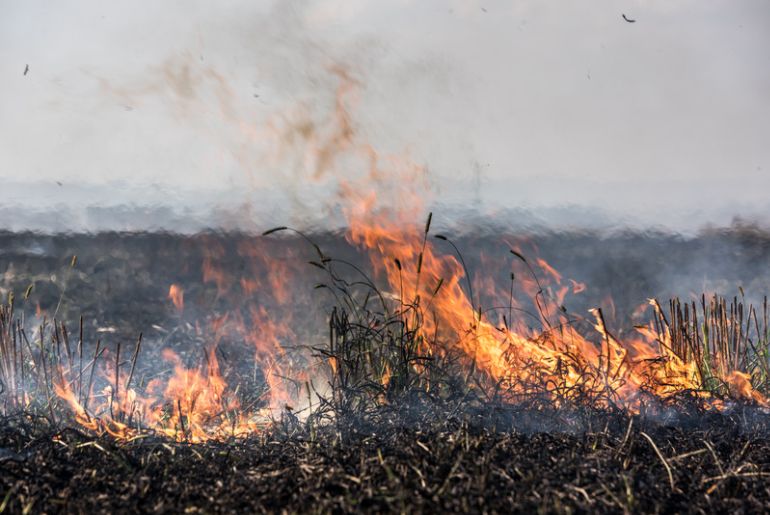 thailand air pollution