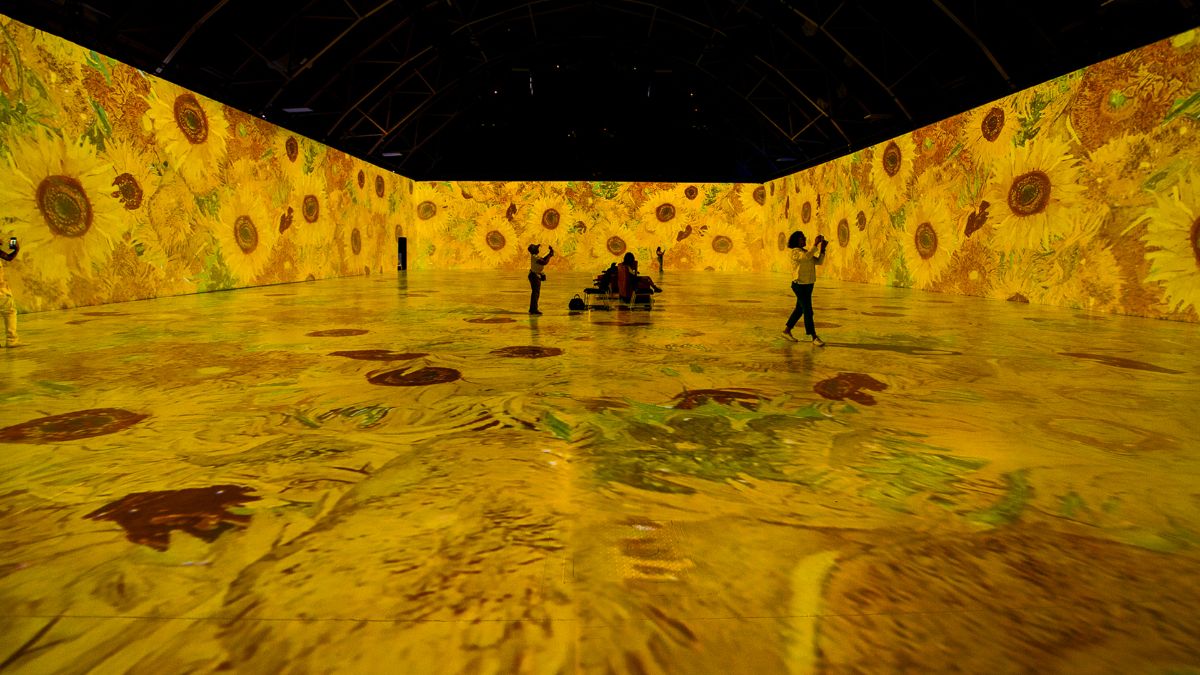 After Delhi, Van Gogh 360° Coming To Pune, Bangalore & Hyderabad. Art Lovers, Book Dates!