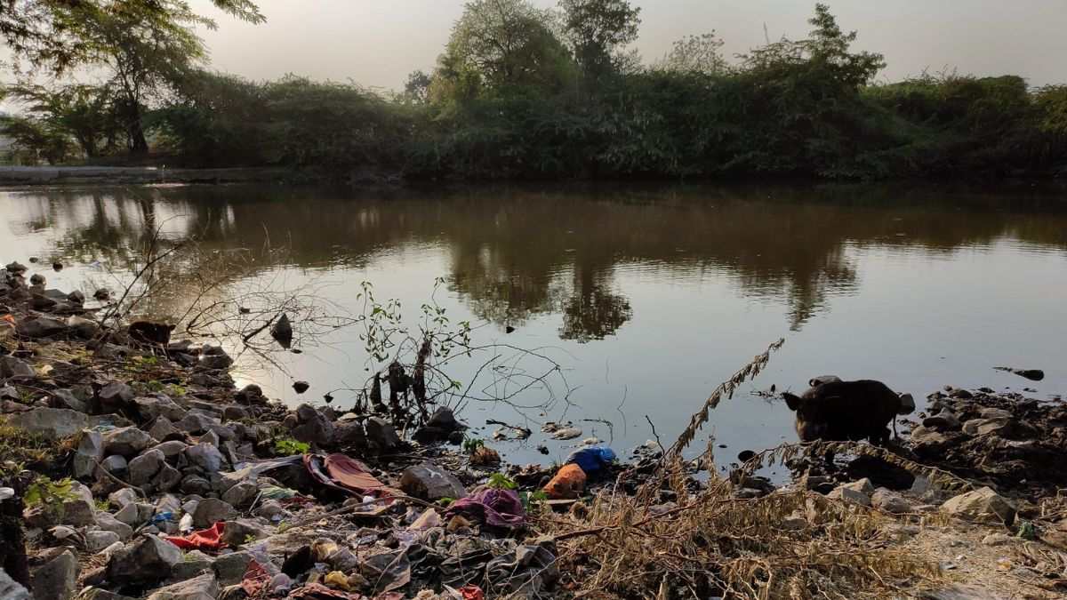 How To Keep Yamuna Clean When Delhiites Continue Throwing Clothes, Garbage, Etc. Into The River?