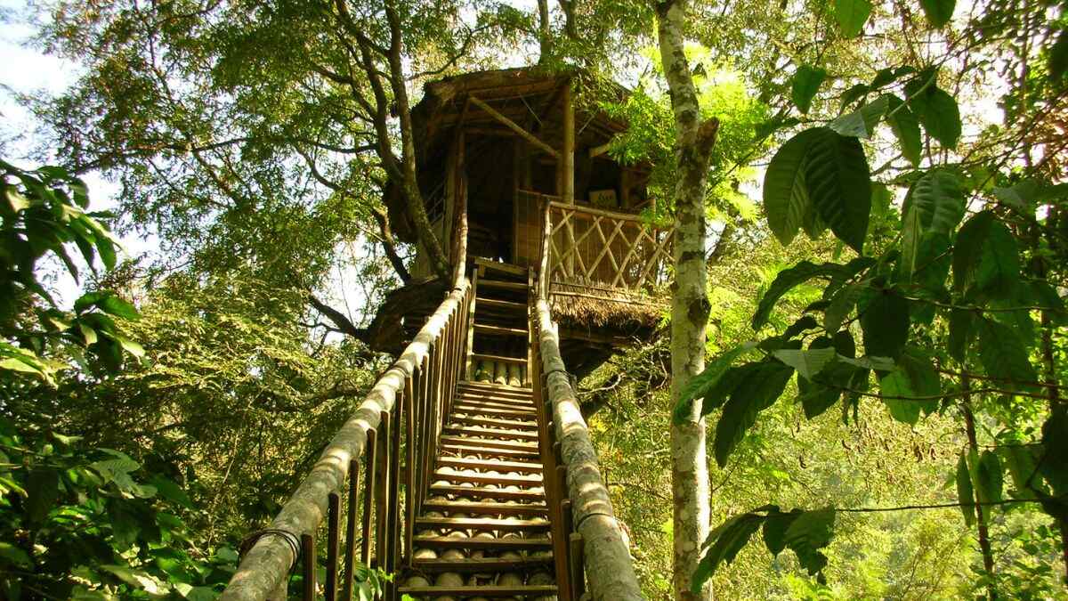 Airbnb’s Most Popular Treehouse In Atlanta Promises An Unforgettable Summer. Deets Here!