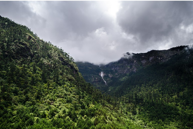 Indian States With The Largest Forest