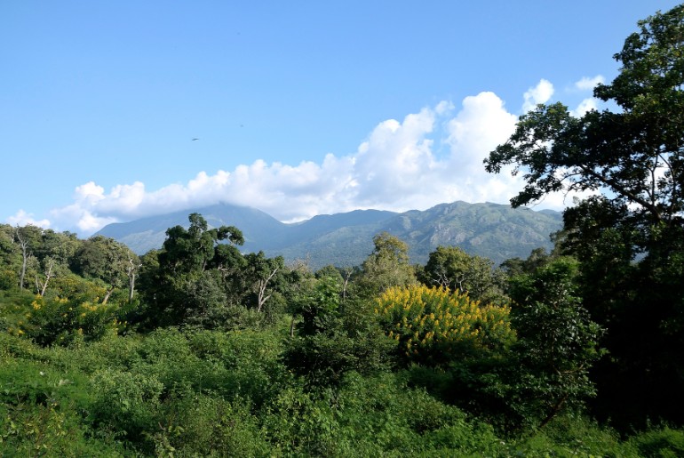 Indian States With The Largest Forest