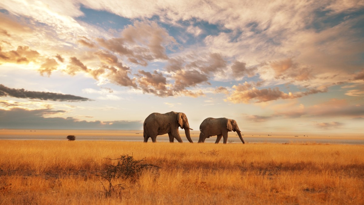 Taking A Trip To Kenya? Here Is How You Can Spend 8 Eventful Days In The Beautiful Country!