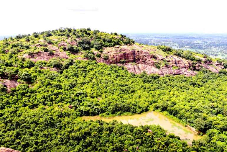 Indian states with largest forest cover