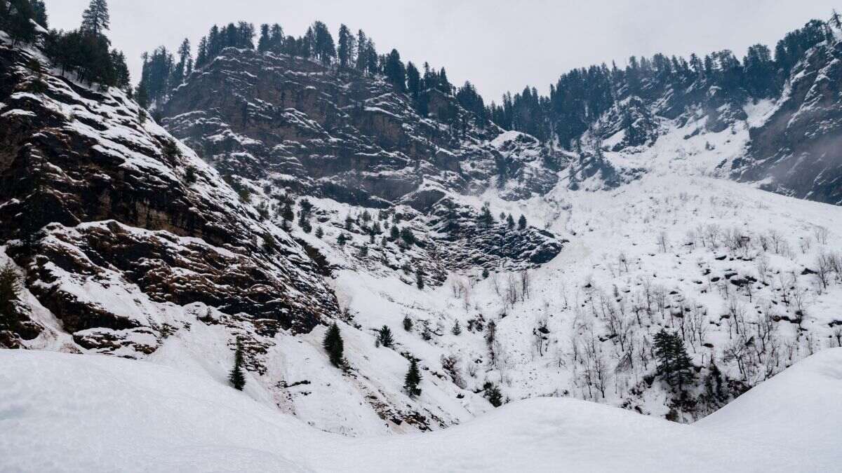 Put Your Himachal Pradesh Travel Plans On Hold: Roads Are Closed Due To Snowfall