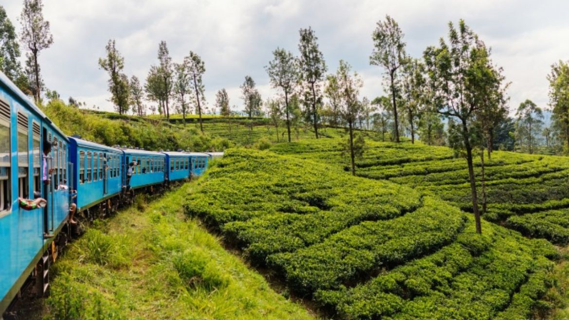 Sri Lanka tea Trail