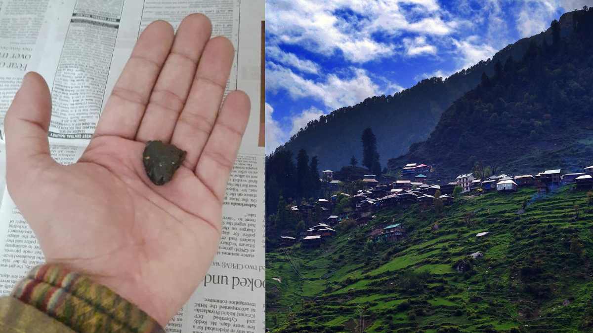 Malana Cream: What It Is, Where Is It Grown & All You Need To Know About It