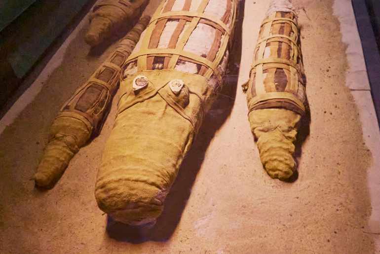 Mummification Workshops egypt