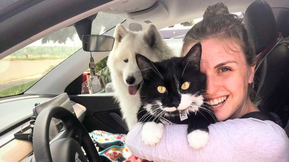 Woman Ditches Apartment For Tesla; Lives & Travels With Her 2 Pawdorable Pets!