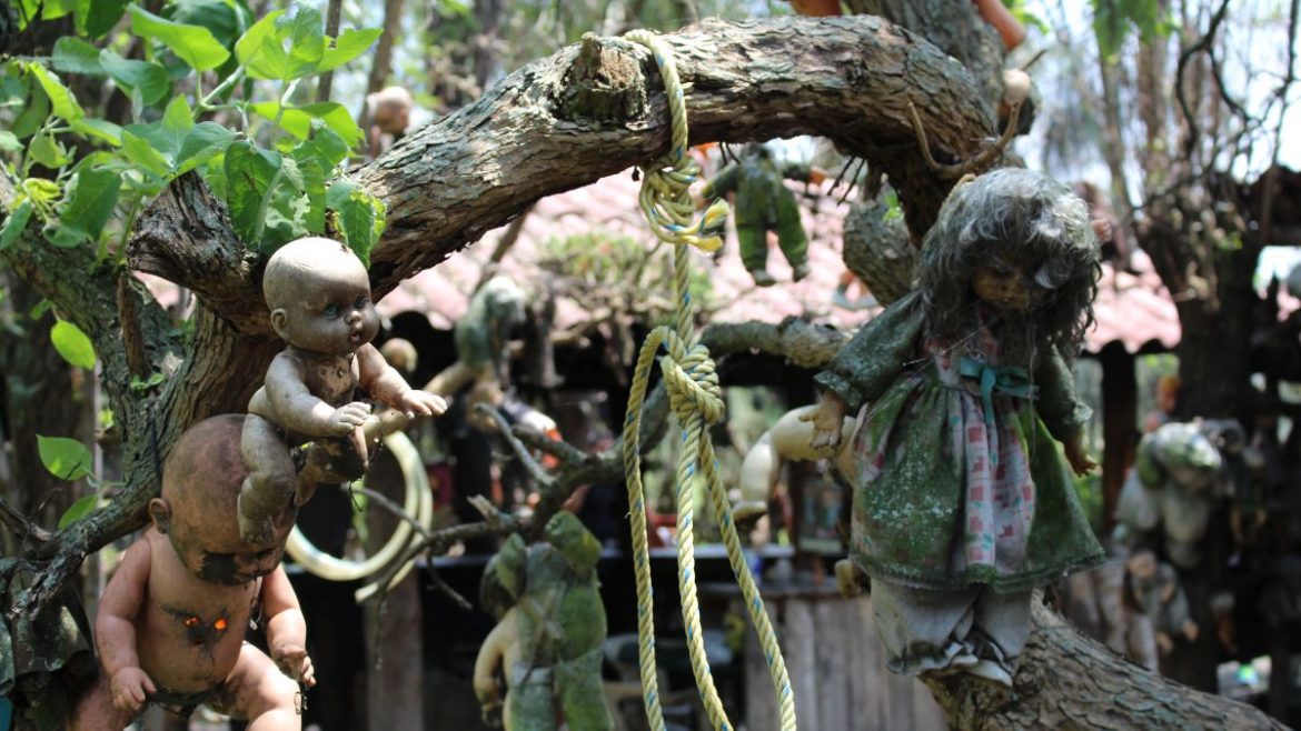 Mexico Has A Creepy Island Where Old Dolls Hang On Dead Trees. Umm