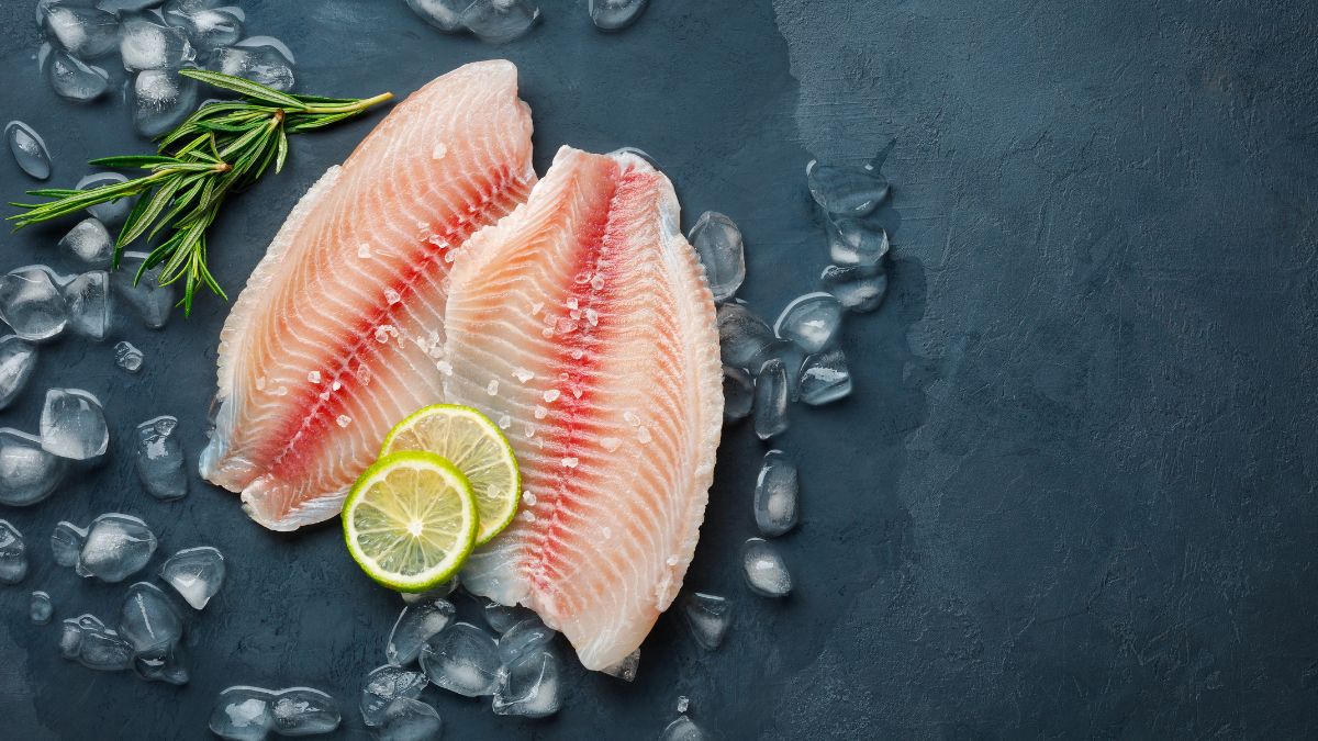 Israeli Startup Prints World’s First Cultivated Fish Fillet; May End The Need To Farm Fishes