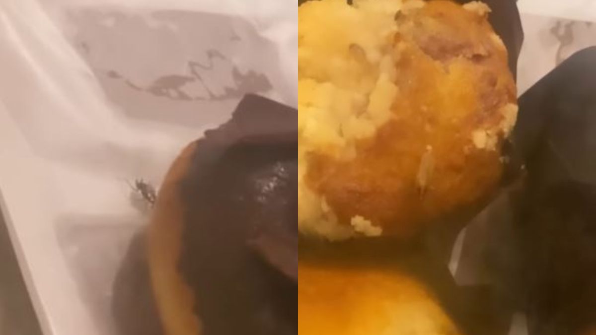 Roaches Spotted In JW Marriott Kolkata’s Bakery And The Cockroach MET Gala Afterparty Looks Fun
