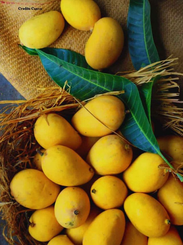 7 Recipes To Enjoy Mangoes Throughout The Year