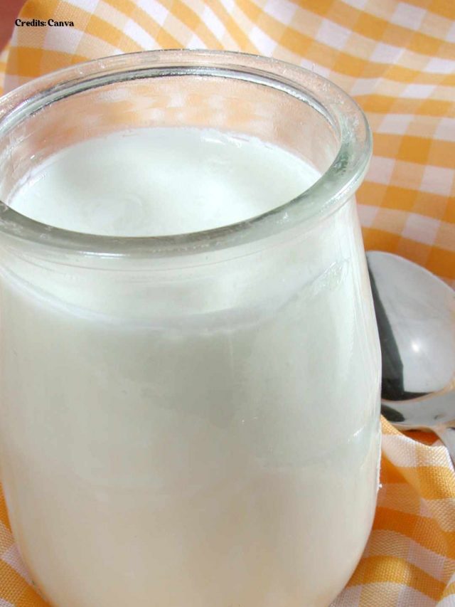 7 Tips To Make Perfectly Set Curd At Home