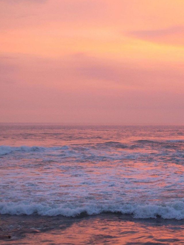 Beach (2)