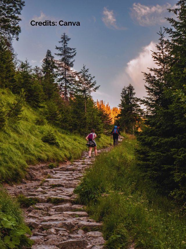Hiking Trails