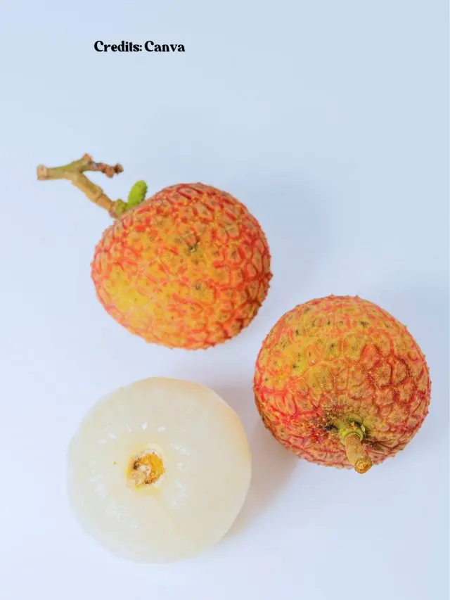 litchi