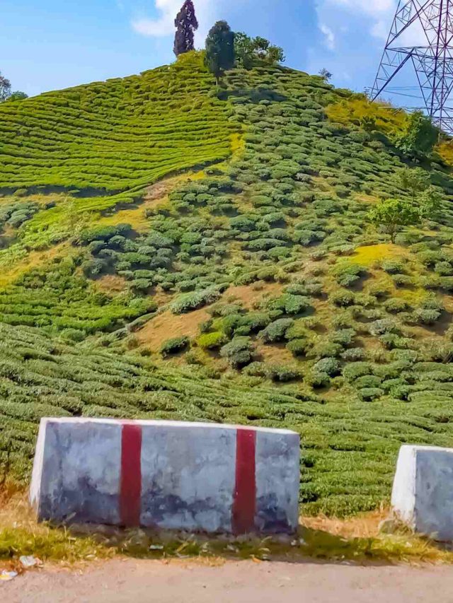 Mirik (1)