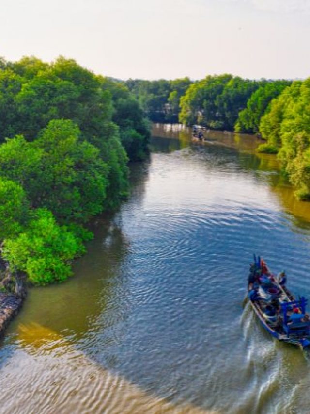 cropped-River-cruise-3.jpg