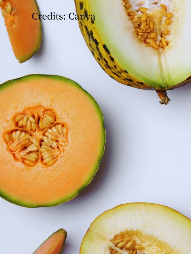 9 Types Of Melons You Must Try This Summer