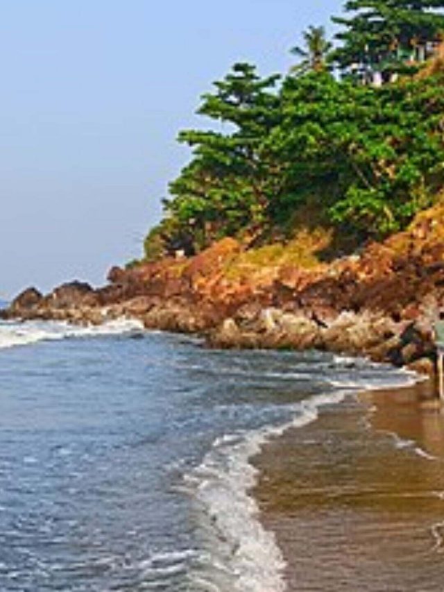 Varkala Beach (1)