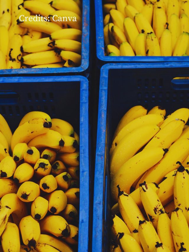 9 Types Of Bananas You Should Know About!