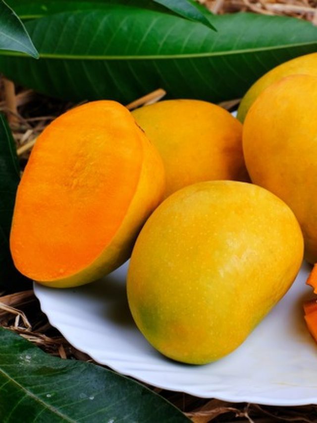 5 Most Expensive Indian Mango Varieties That You Must Taste