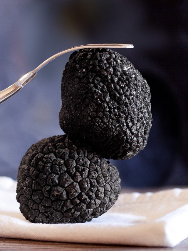 What Is Truffle & Why Is It So Expensive? All You Need To Know