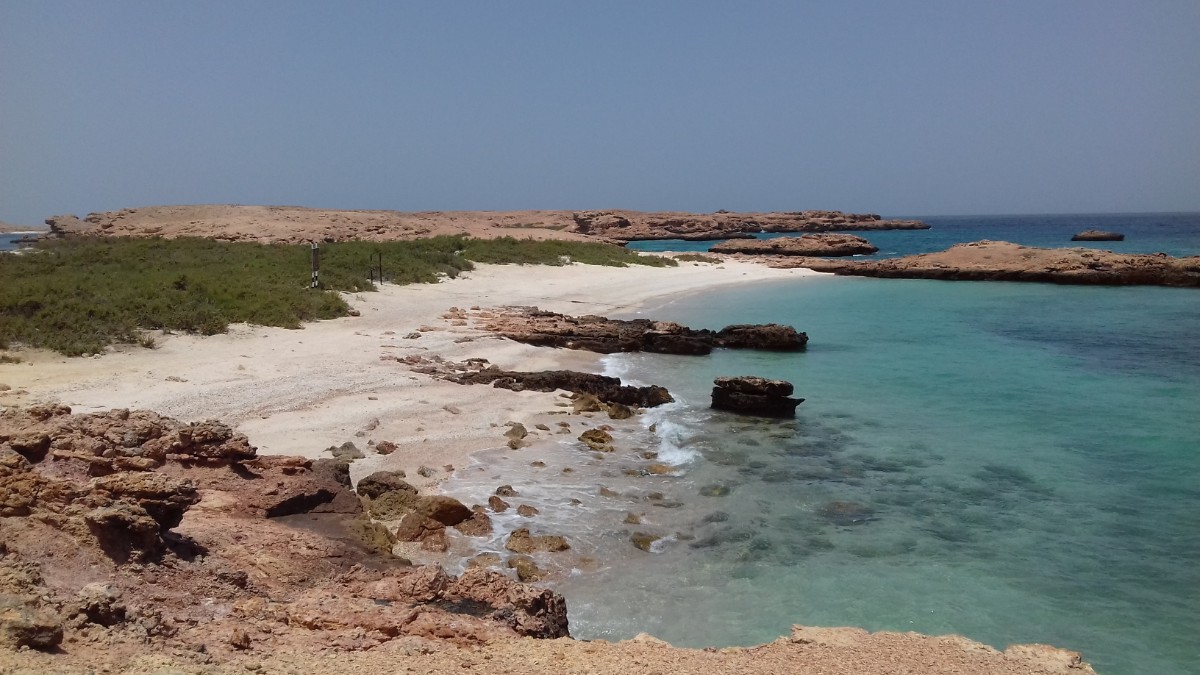 5 Reasons Why You Need To Visit Daymaniyat Island Near Muscat!