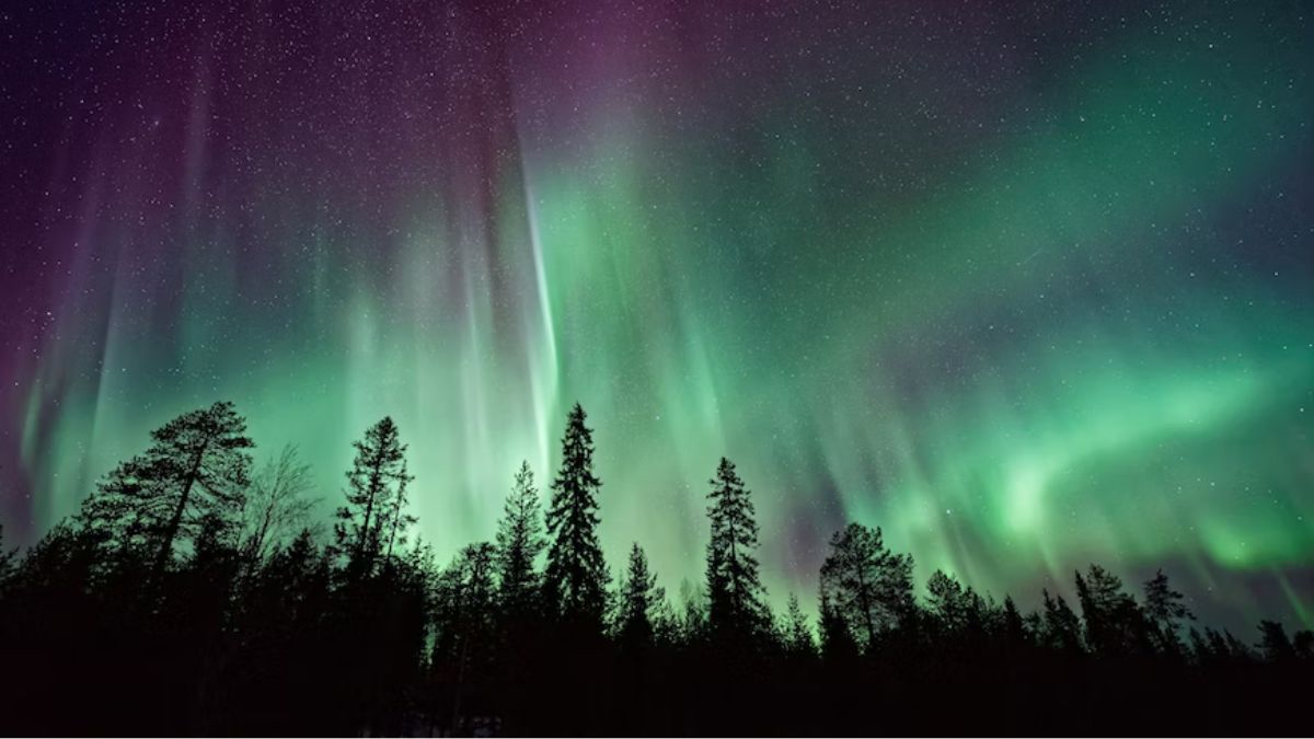 Passengers Witnessed Northern Lights From the Plane, Netizens Are Jealous
