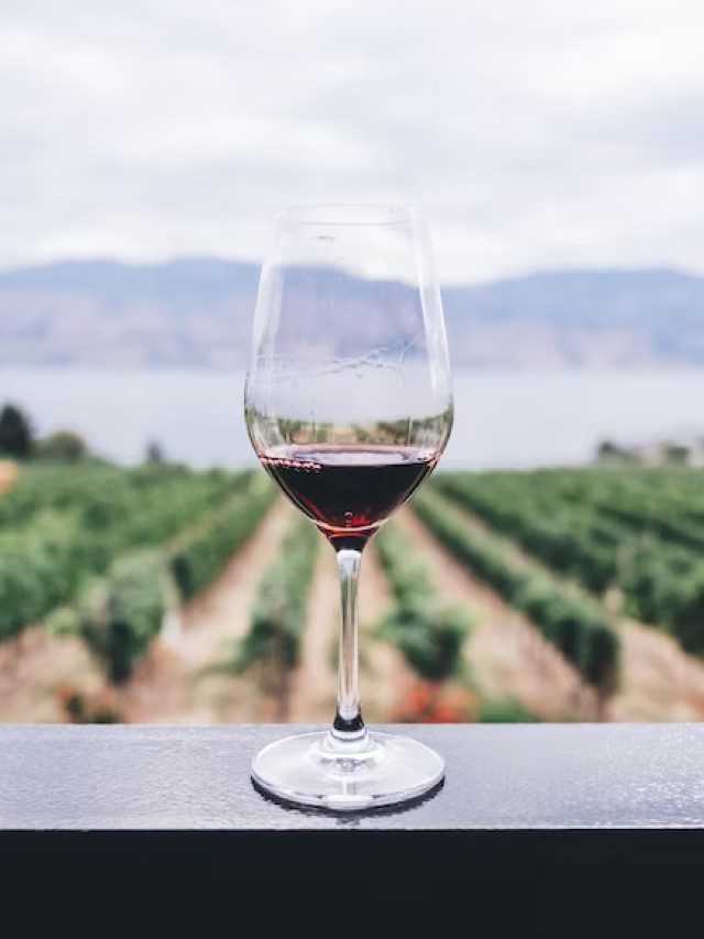 Wine