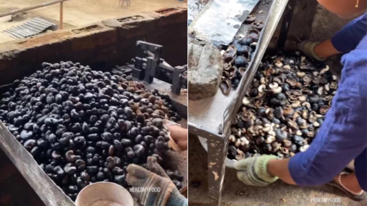 Cashew processing