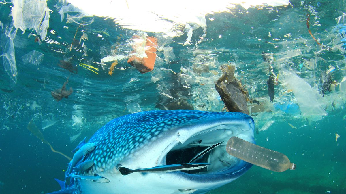 biggest ocean polluters